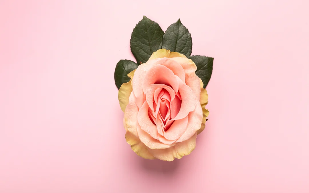 Is the Appearance of Your Vagina Affecting Your Self-Confidence?